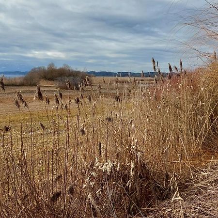 Tiny X Im Marxhof Seebruck Am Chiemsee Seeon-Seebruck Zewnętrze zdjęcie